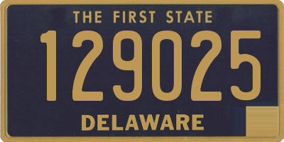 DE license plate 129025