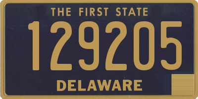 DE license plate 129205