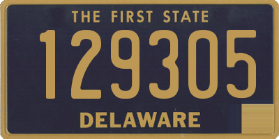 DE license plate 129305