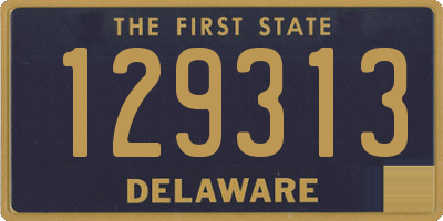 DE license plate 129313