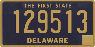 DE license plate 129513