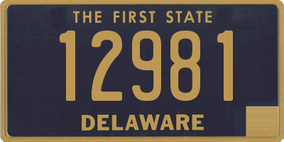 DE license plate 12981