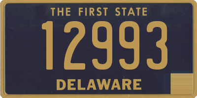 DE license plate 12993