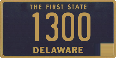 DE license plate 1300