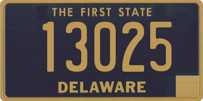 DE license plate 13025