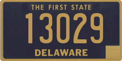 DE license plate 13029