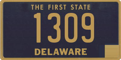 DE license plate 1309