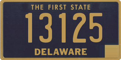 DE license plate 13125