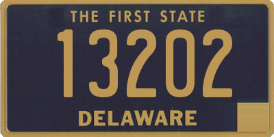 DE license plate 13202