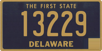 DE license plate 13229