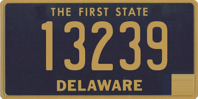 DE license plate 13239