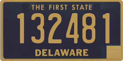 DE license plate 132481