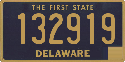 DE license plate 132919