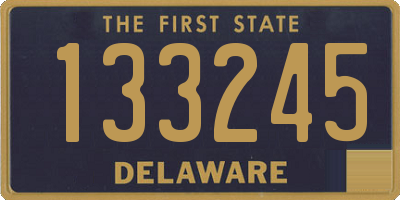 DE license plate 133245