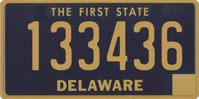 DE license plate 133436