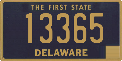 DE license plate 13365