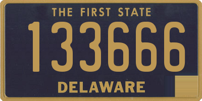 DE license plate 133666