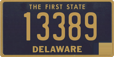 DE license plate 13389