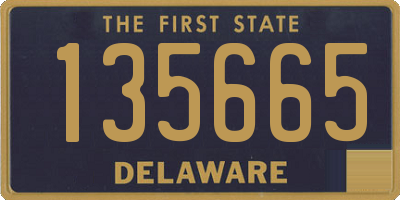 DE license plate 135665