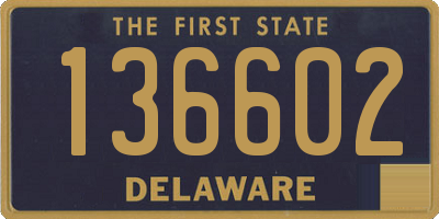 DE license plate 136602