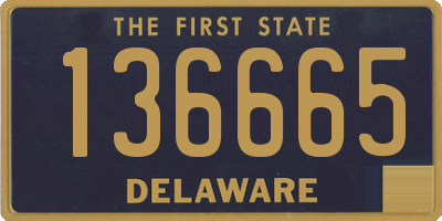 DE license plate 136665