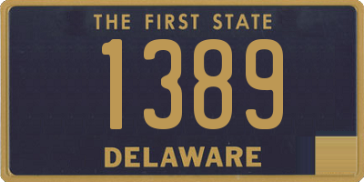 DE license plate 1389