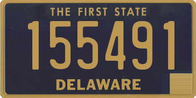 DE license plate 155491