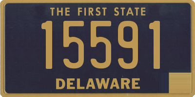 DE license plate 15591