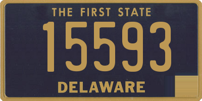 DE license plate 15593