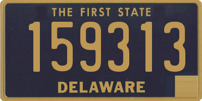 DE license plate 159313