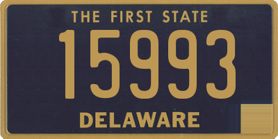 DE license plate 15993