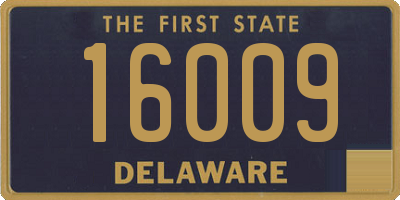 DE license plate 16009