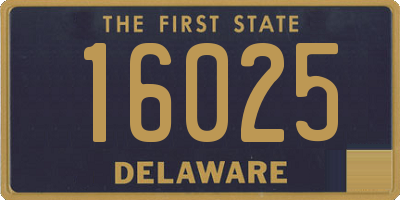 DE license plate 16025