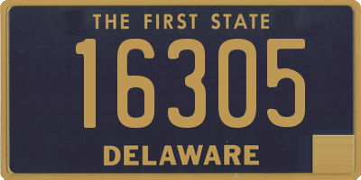 DE license plate 16305