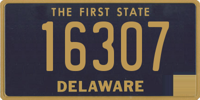 DE license plate 16307