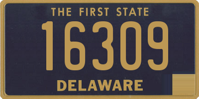 DE license plate 16309