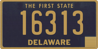 DE license plate 16313