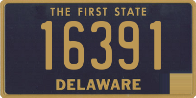 DE license plate 16391