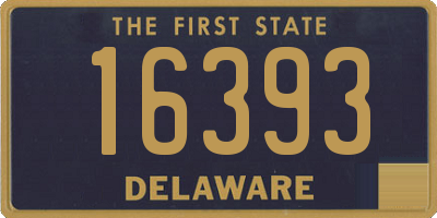 DE license plate 16393