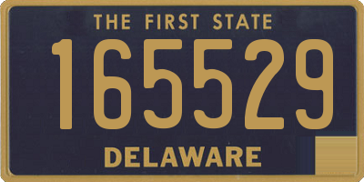 DE license plate 165529