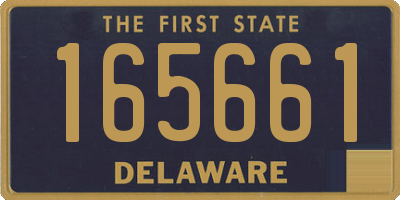 DE license plate 165661