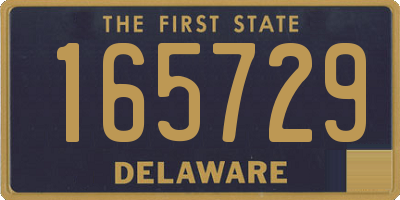 DE license plate 165729