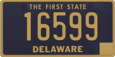 DE license plate 16599