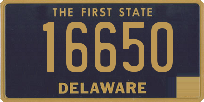 DE license plate 16650