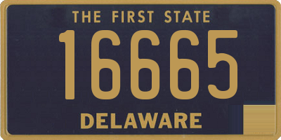 DE license plate 16665