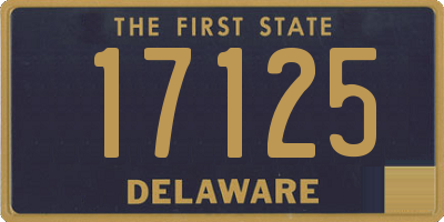 DE license plate 17125