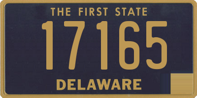 DE license plate 17165