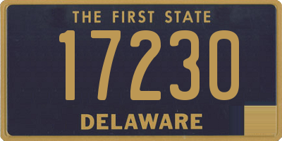 DE license plate 17230