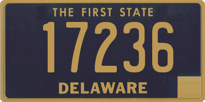 DE license plate 17236