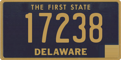 DE license plate 17238